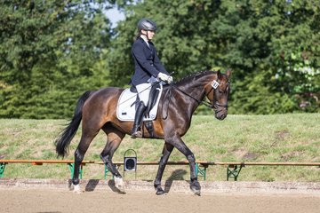 Bild 72 - Pony Akademie Turnier